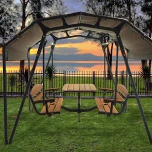 460G Person Swing